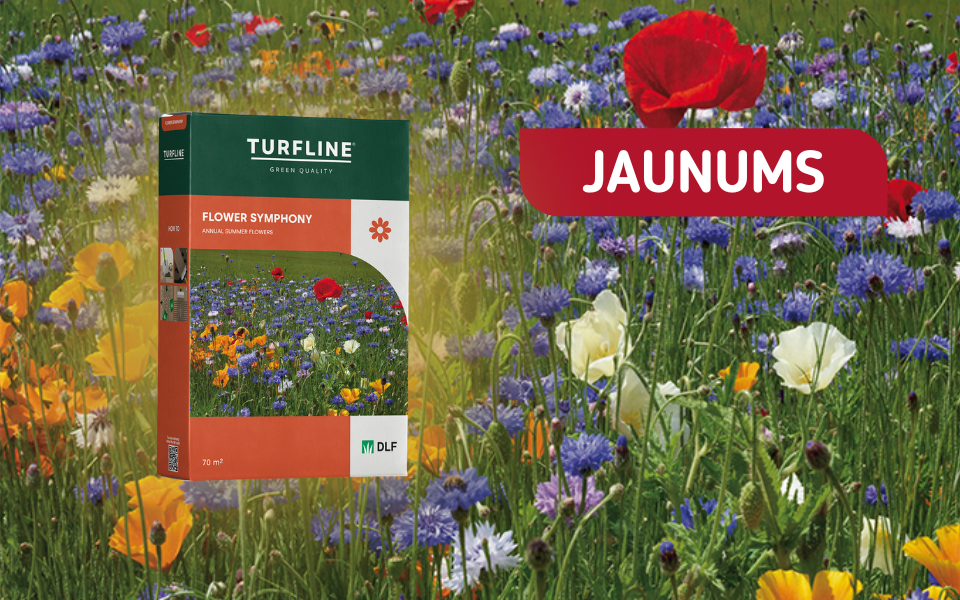 Ļauj savam dārzam uzziedēt!